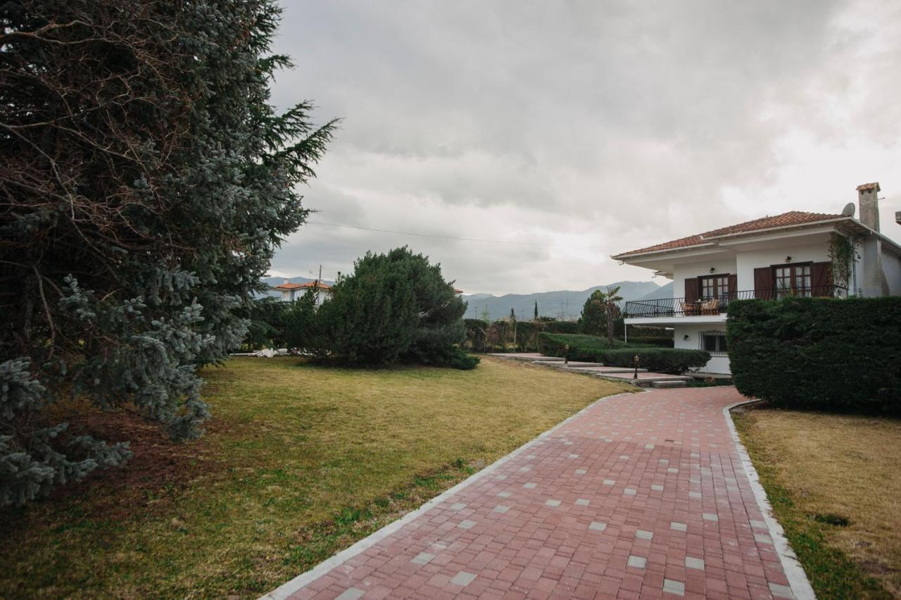 Mythic House Leptokarya (Pieria) Exterior foto